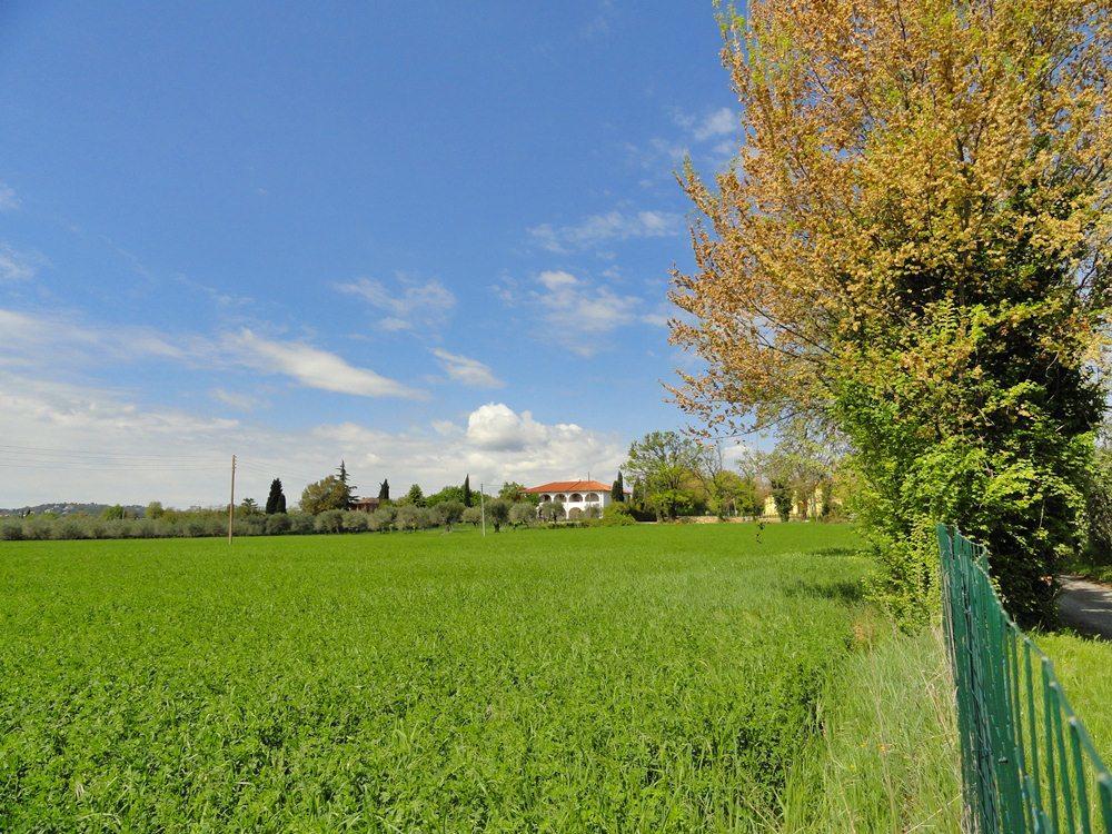Cascina Aurora Apartment Moniga del Garda Luaran gambar